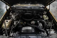 9_1979-Oldsmobile-W30-Black and Gold-536930-45.jpg